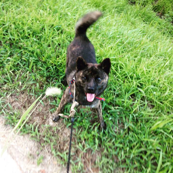 35eb7dde 4598 40ff ac1b 013dd4212e6a