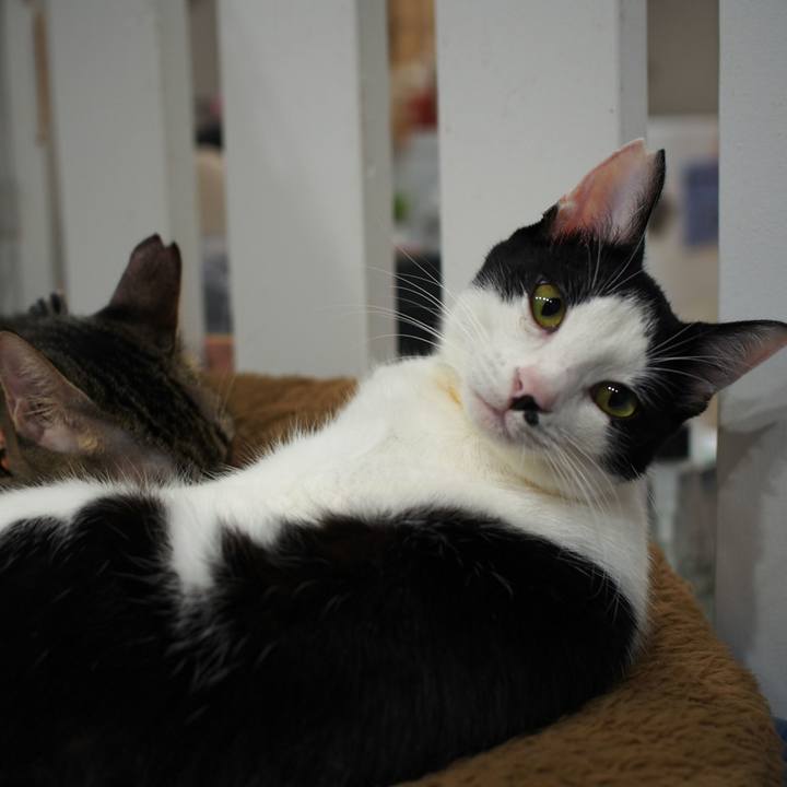 35eb95f0 a07f 4c09 af5e 63f03fbaeac6