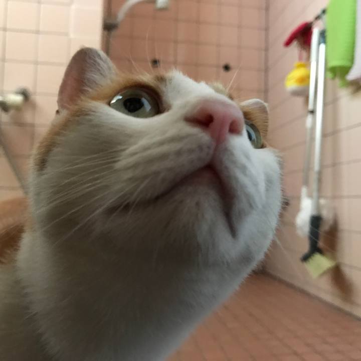 35ec2566 5f89 4171 8659 7f0c517bab92