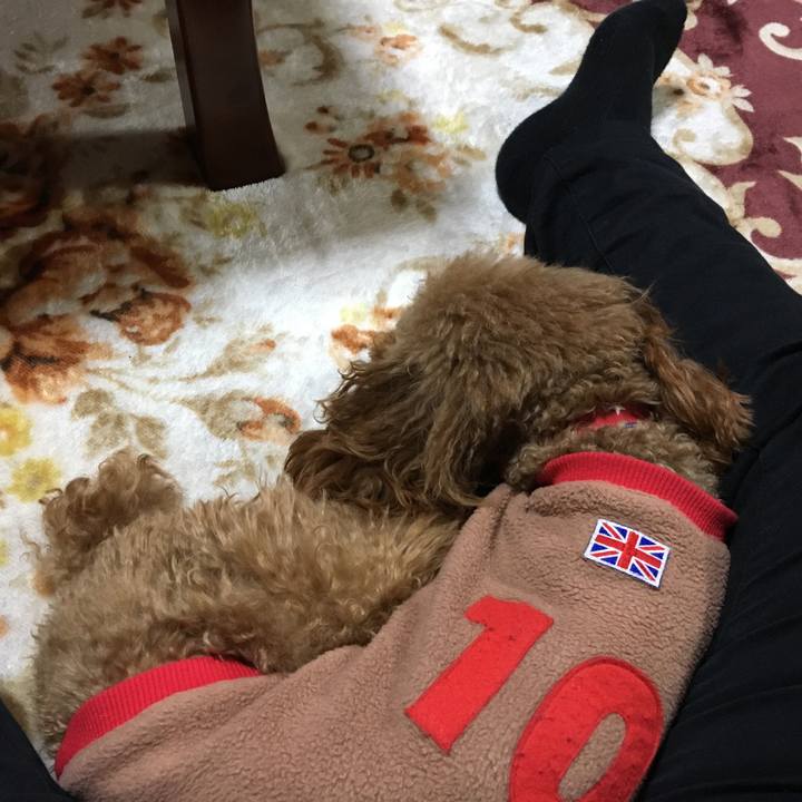 35eccf09 05ff 4a2d a7f1 0a4be137e720