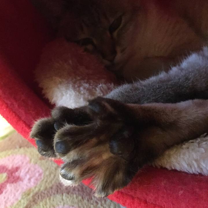 35ecf78e efbf 4548 a91e f093fe020602