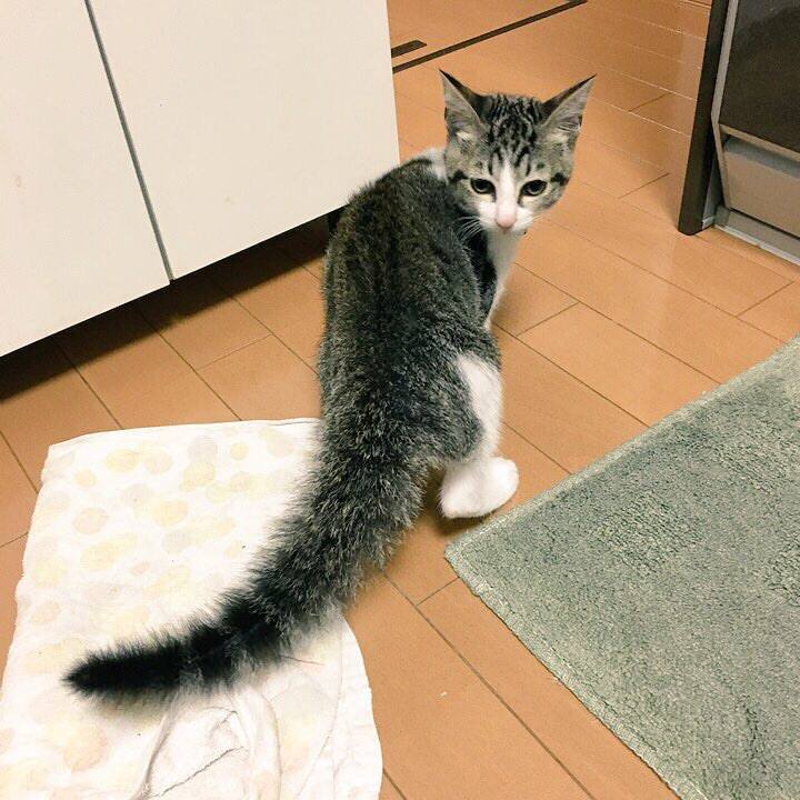 35ed2646 ad9f 4d3e 823b c3d07736941c