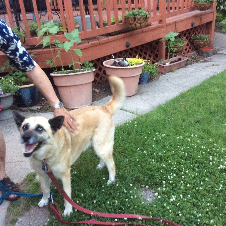 35ee6ca6 5523 4cc7 b464 3992c1364974