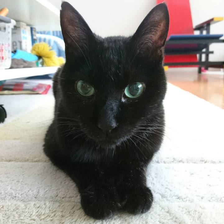 35ef270d ce85 429f 8c5d 1b0d6fc4fad2