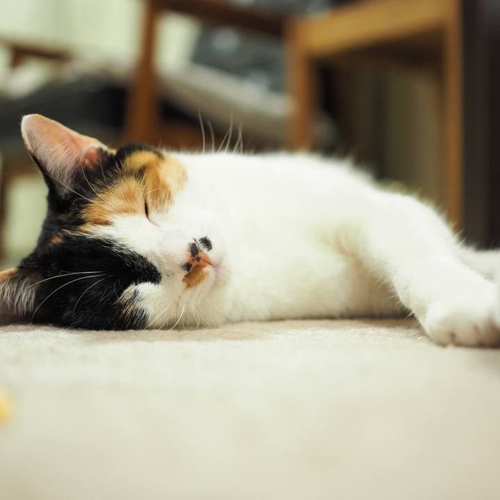 35efe8b7 f2e6 43d1 a8e2 9789596fc297