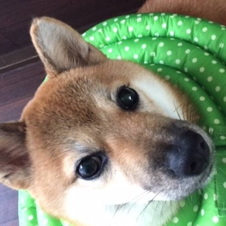 35f0b7f4 f434 4933 9679 f5ded78a1b5b