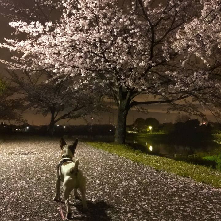 35f18d20 4fea 42d8 b65a 6397446aeff7