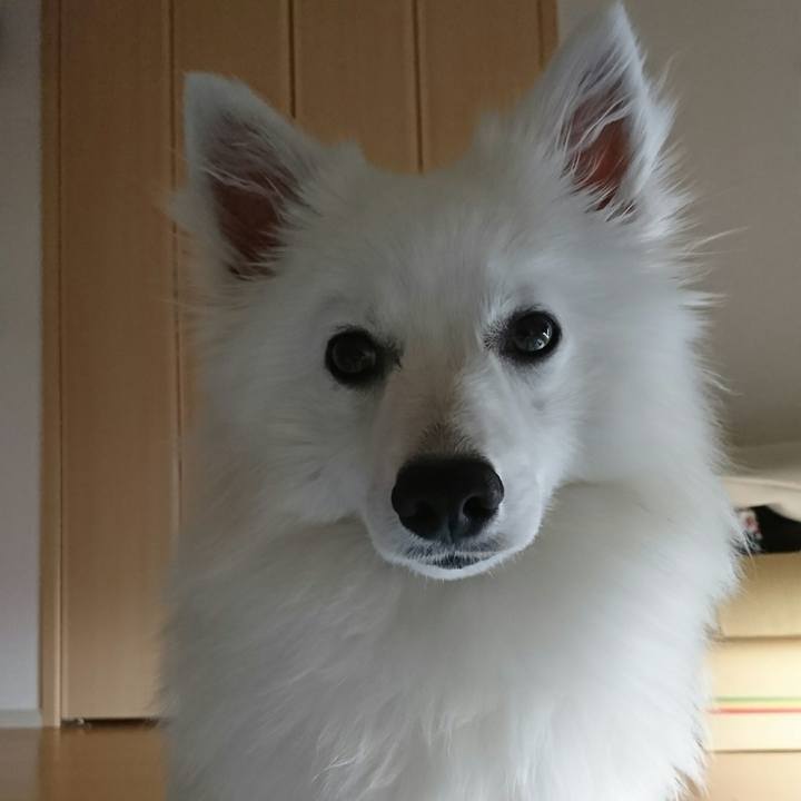 35f1914a 3500 4681 83bf 5f81fea63ecd