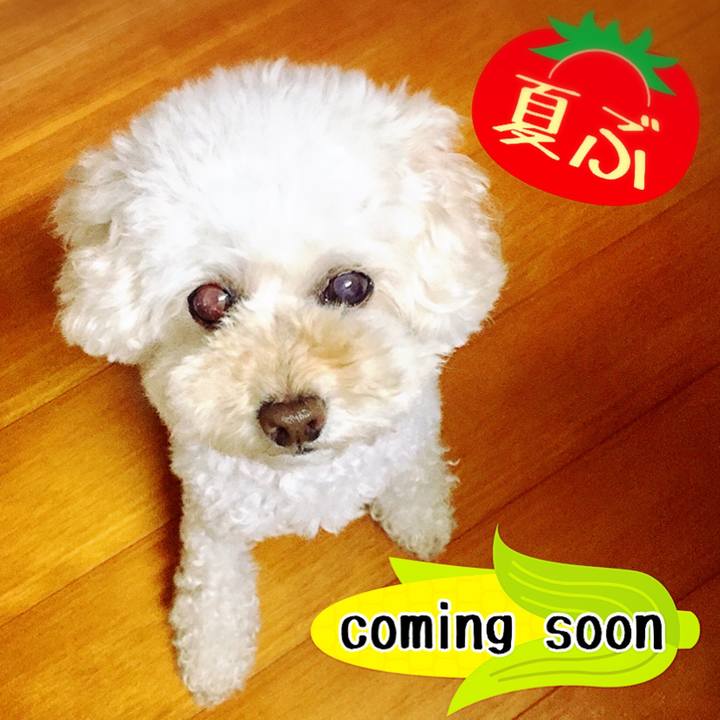 35f1a416 3b69 4f43 b65e 00dd90bed249