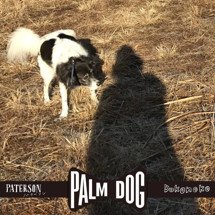 35f30572 da25 47d0 adec e189b48044f0