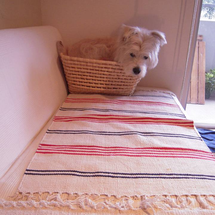 35f3c536 2f25 4195 8d8b 6c763e82bb88