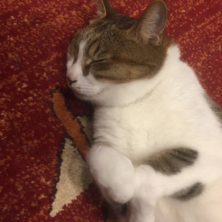 35f3c990 4876 43f1 beb2 3f1089fc9193