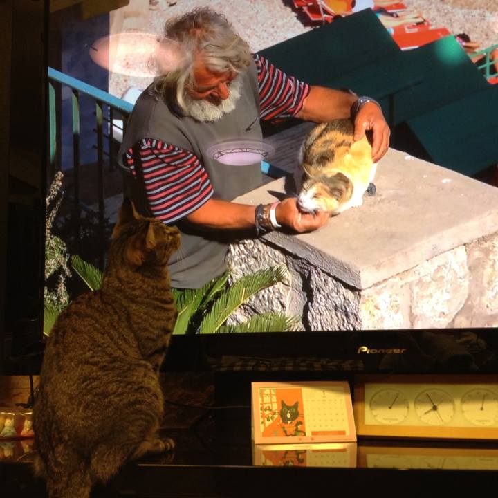 35f3cbd1 3f0a 4909 9b1f e2a7242b6d16