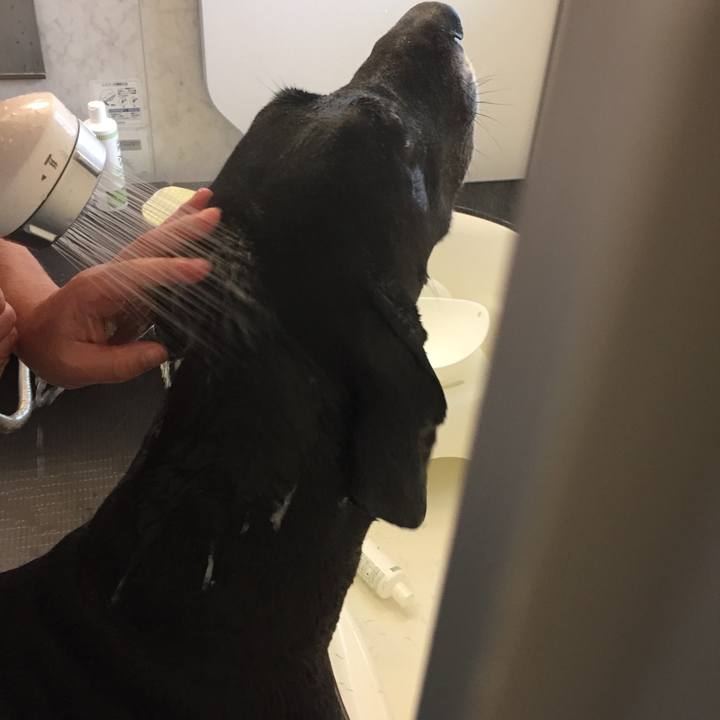 35f3ef16 89ec 44ef 9508 4046b44d1427