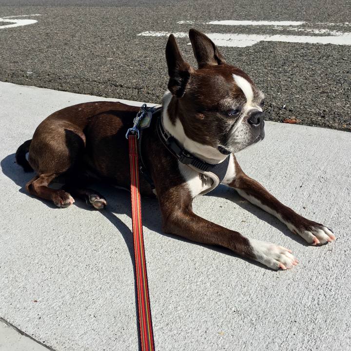 35f40884 f8b5 4b07 be24 dfd2cae7245d