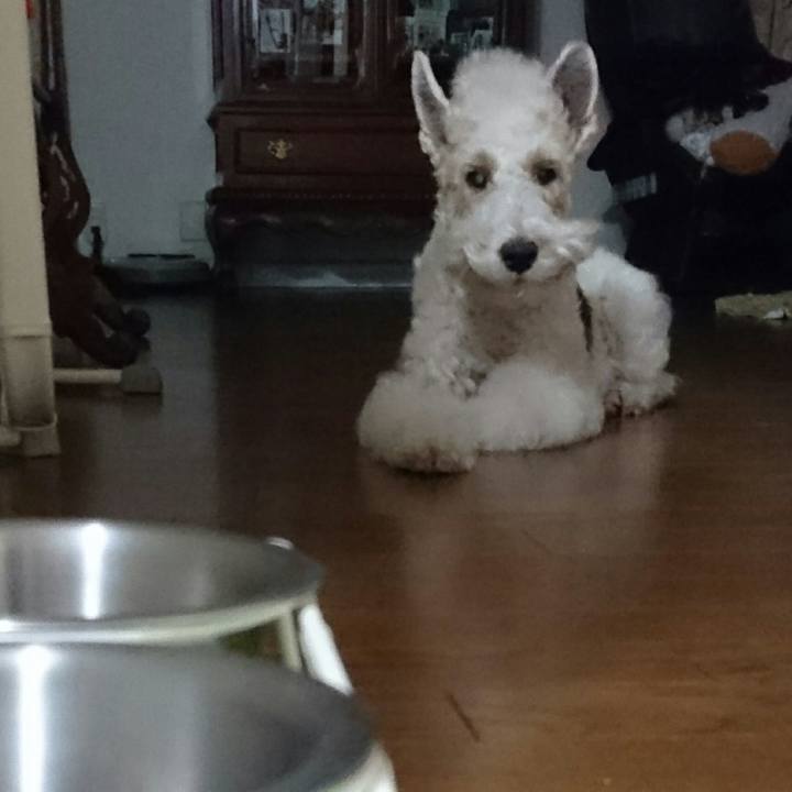 35f4e46c db4a 4420 98ea 83cffdfa894b