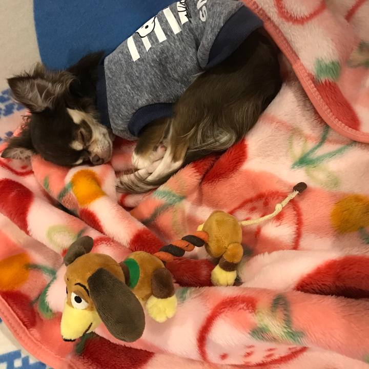 35f60d92 939d 4daf 95e2 e3fa9b9055c1