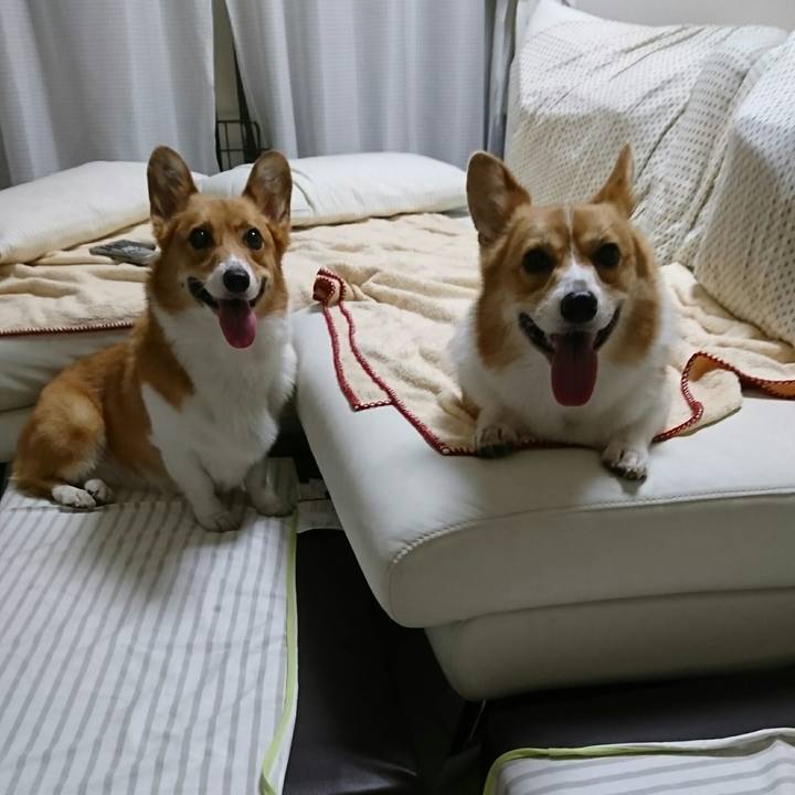 35f6b2b1 2264 4ac8 9465 94971cd67840