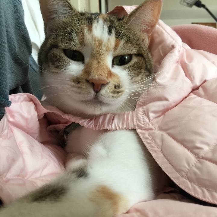 35f6df2c b360 4924 9915 5a50d5f167b0