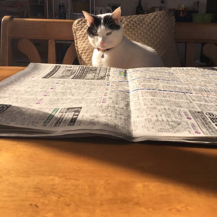 35f6efdc 91f4 46e0 a8d2 575c91ad4210