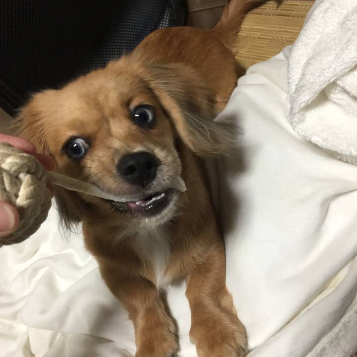 35f6fd1c 7e61 49fd baa7 8f07490c0fd9