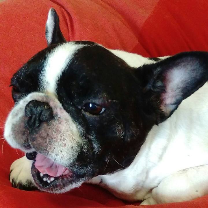 35f7eae2 2228 4621 bf7d 9cffbbf6ee8a