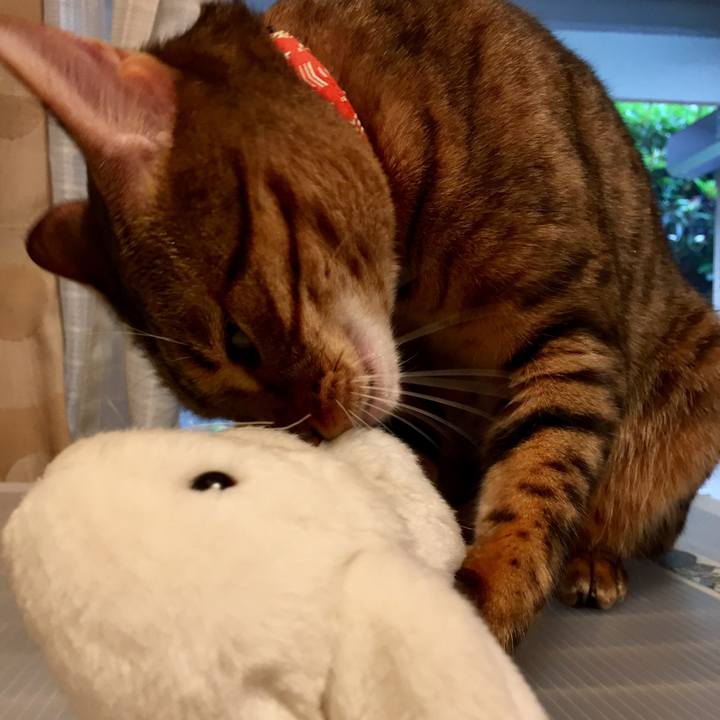 35f7f529 a9a7 47b0 a373 3fc38256a2e5