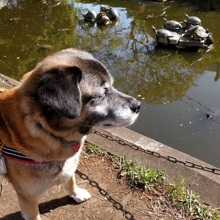 35f808ce 930e 4afc 83d5 9d5662d46147