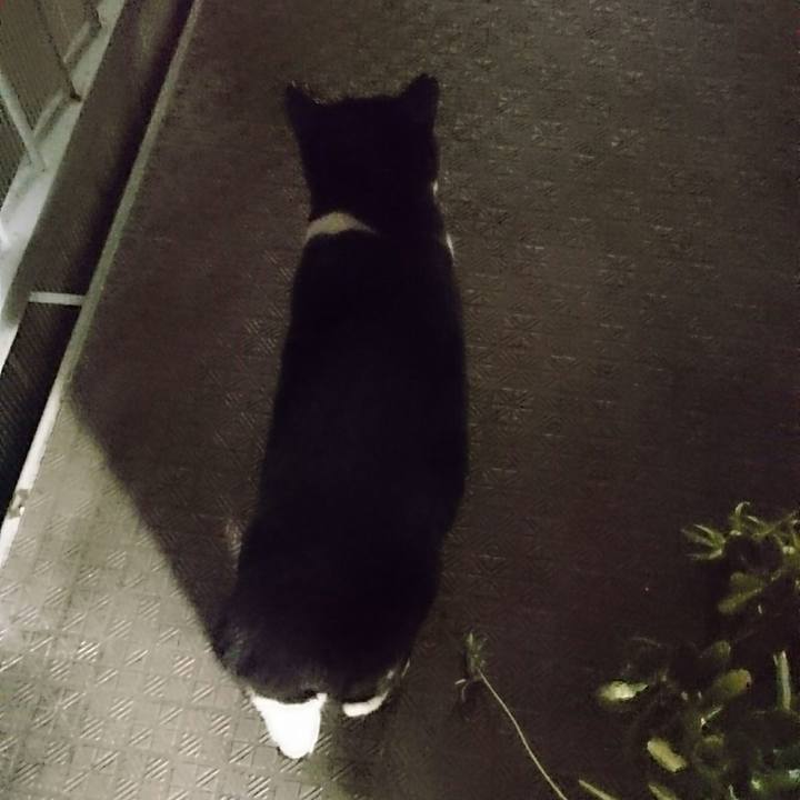 35f8942e 1c73 49de 9bad 2dd349b5976b