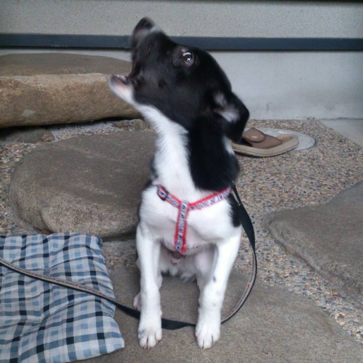 35f9957e 8ea9 42c1 85f7 663d435920ac