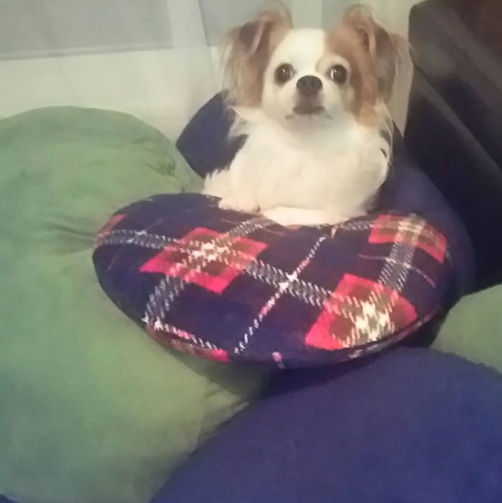 35f9f105 a66a 4adc a1b6 506651c02130