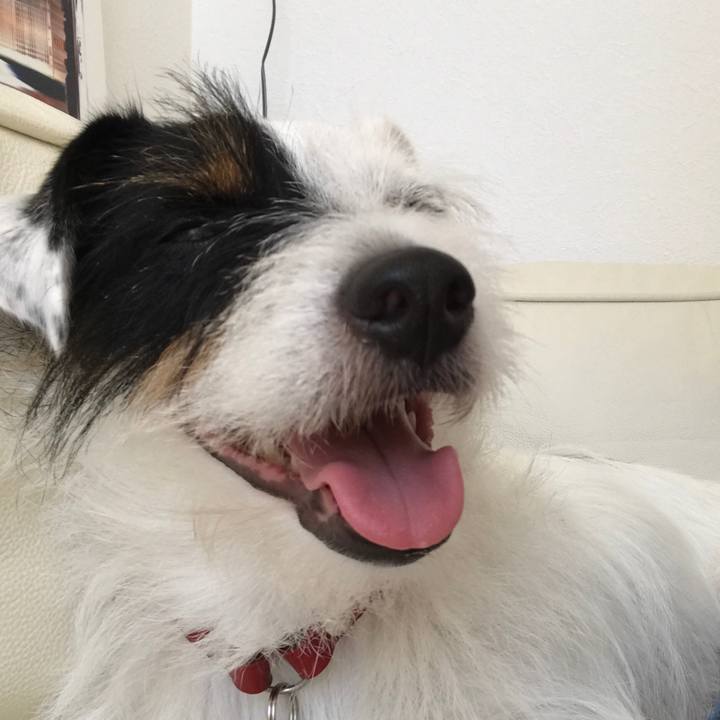 35fa3985 10f9 454b 86ae d9a114b96ffb