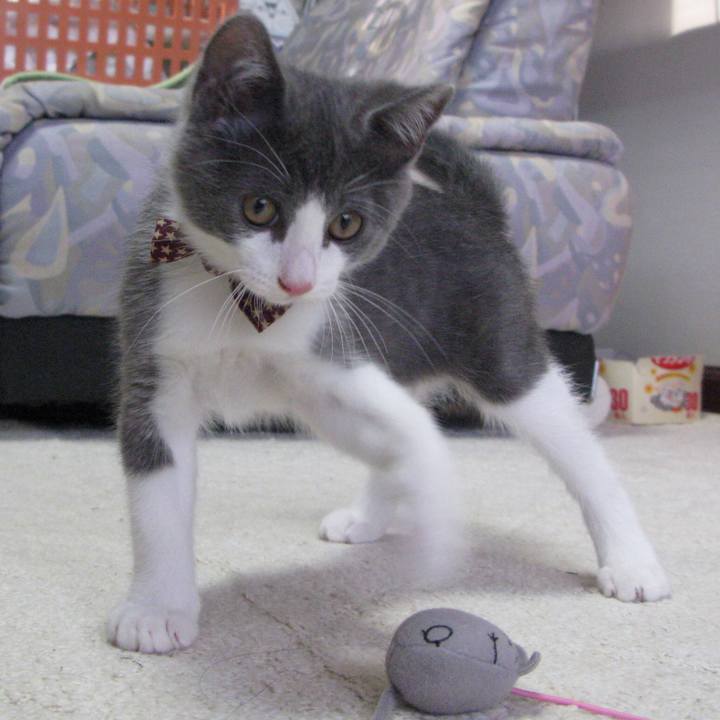 35fa4206 4f46 4fd6 8cf7 473a8e46e5fc