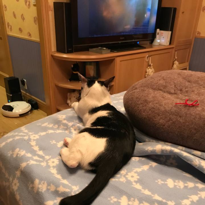 35fa577f 604b 4e23 a2aa 17e69c690676