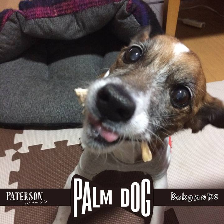 35fa922b a53f 4dde 9d35 4257d8708b10