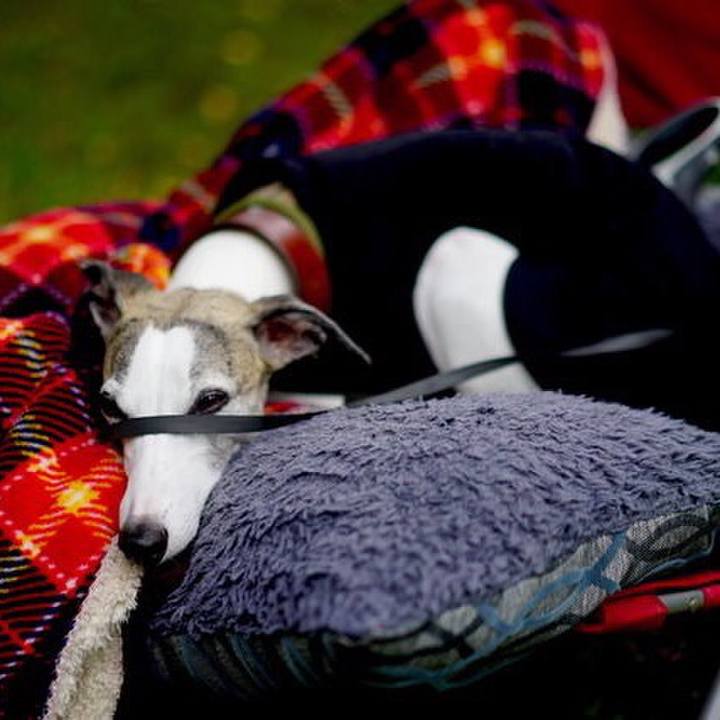 35fa93de 1b79 422d 9d54 6d8d36d7f489