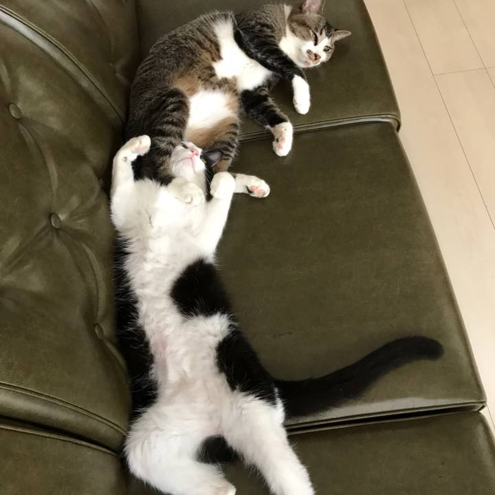 35fb45c5 4940 47da a5c7 992238a90a71