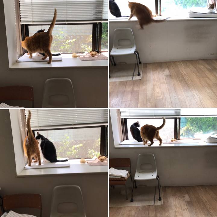 35fb482b 1e8f 4f80 9ef7 f18b8c365573