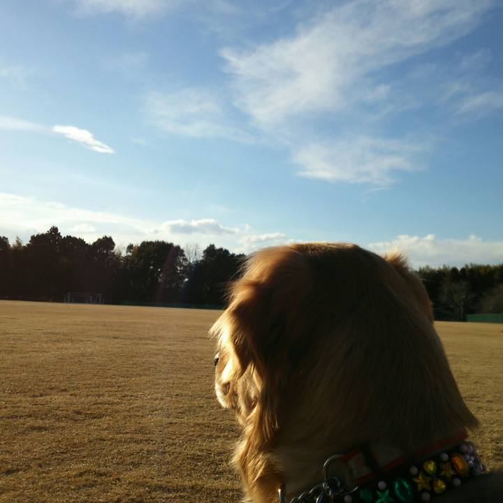 35fbe32d cc66 495a bb52 5d8c140486f5