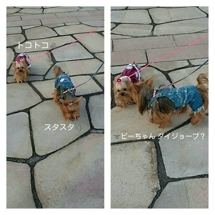 35fbed8c 2c6e 4487 8e03 ba23826c1ea2