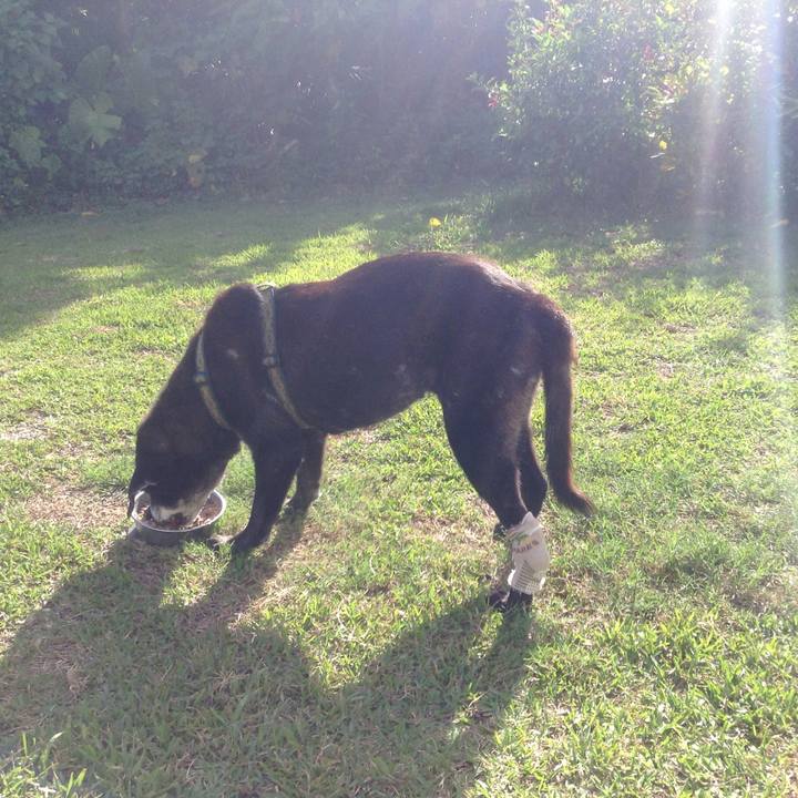 35fbee32 3b17 42ed 83ca b46b67c2bd85