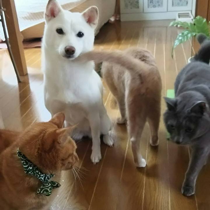 35fc678c c357 4cf5 98d8 c5cd58d2d275