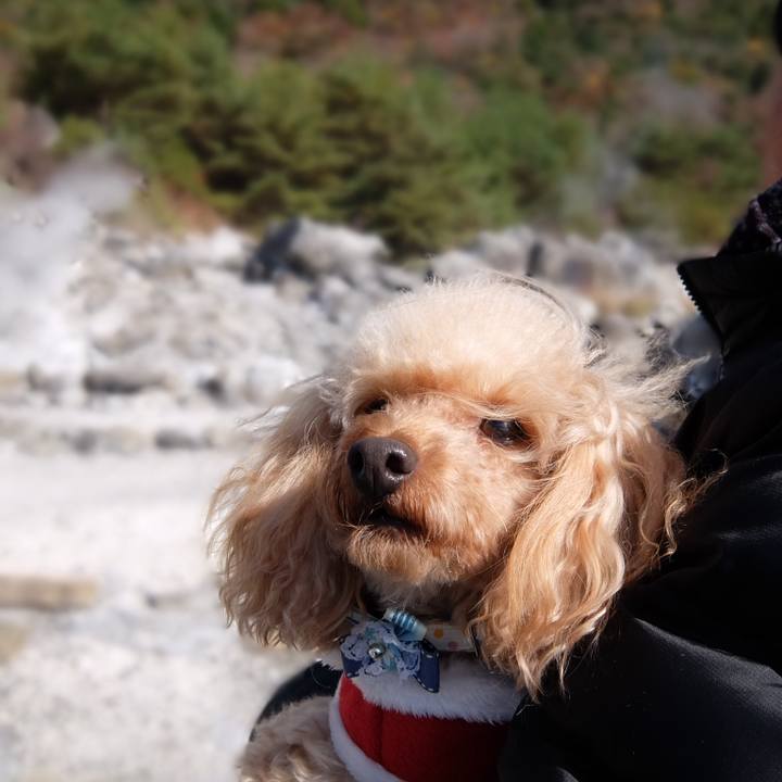 35fc7de5 423e 423c 987c 2f39e6693500