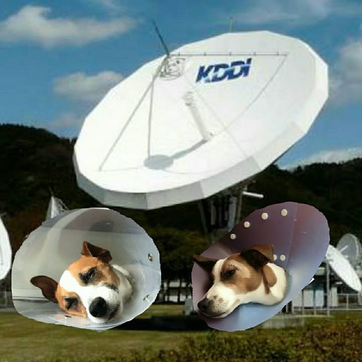 35fc8739 dba4 4ec2 8f65 97927983752c