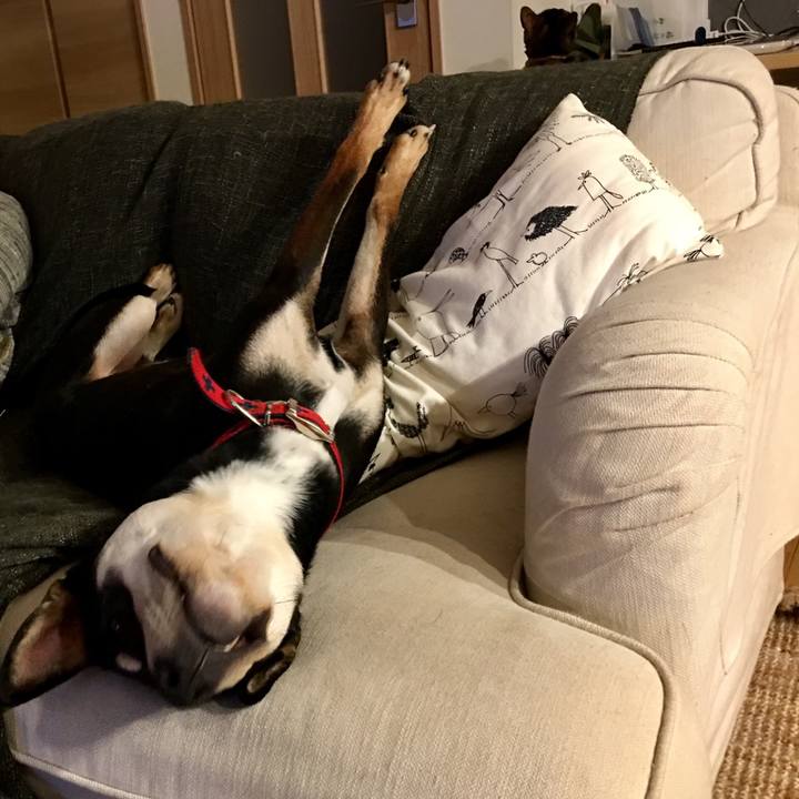 35fca324 2412 481f b050 5b1063663b05