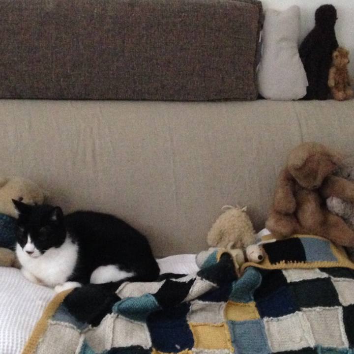 35fcc5dc 649e 440a bcb8 f8e59f77eb9f