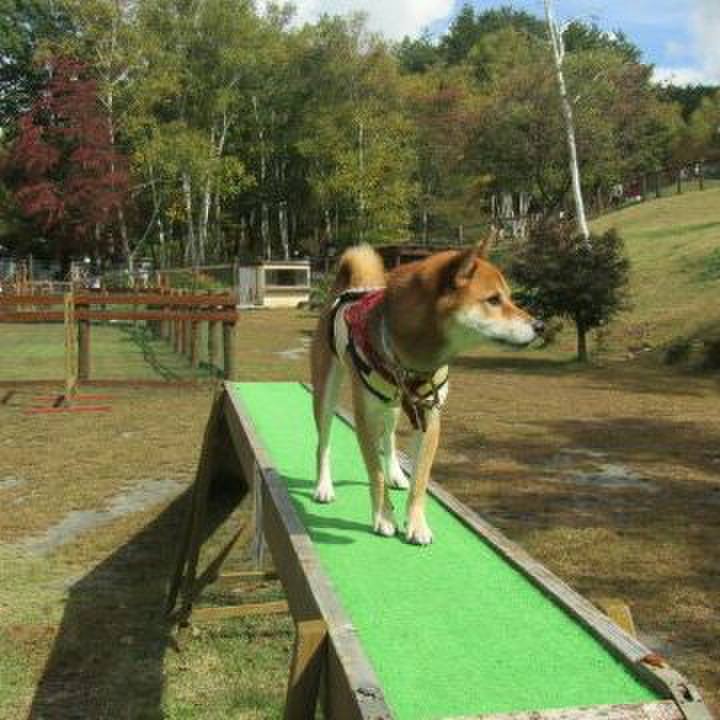 35fce09c e43e 42ec 84a2 46a3ca47b79c