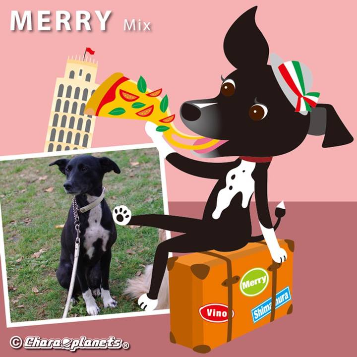 35fd6e02 82cb 4a81 9e17 59add9deacf2