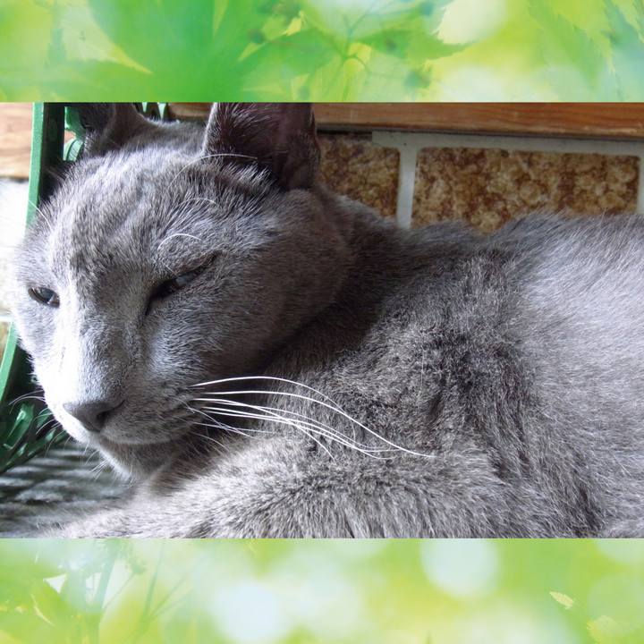 35fdcec4 e0fb 42c8 becb 347d5ae9f797