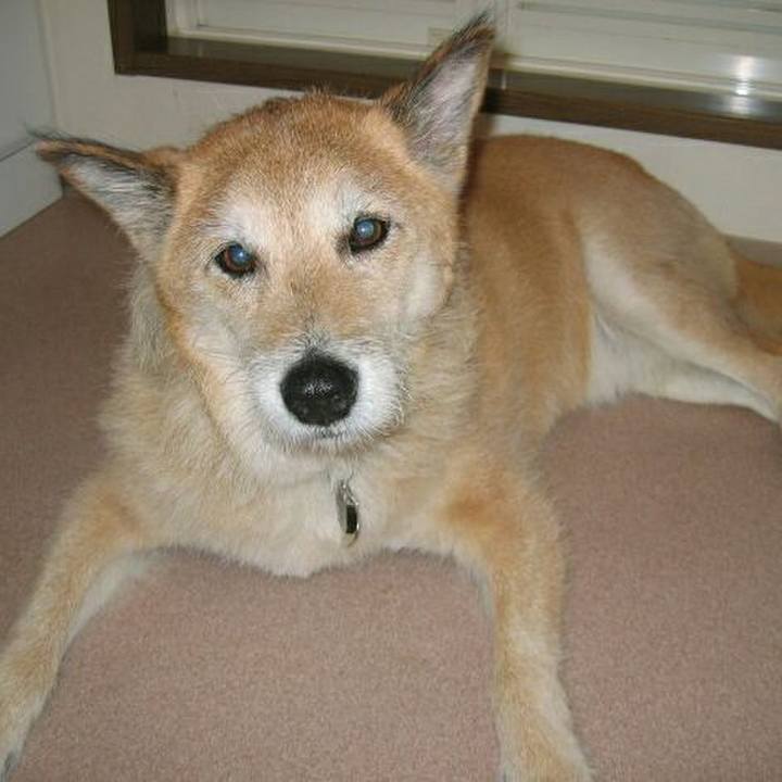 35fe110f 4496 4bb6 8f4f f78b74d27734